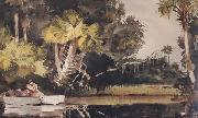 Winslow Homer Homosassa Jungle (mk44) oil